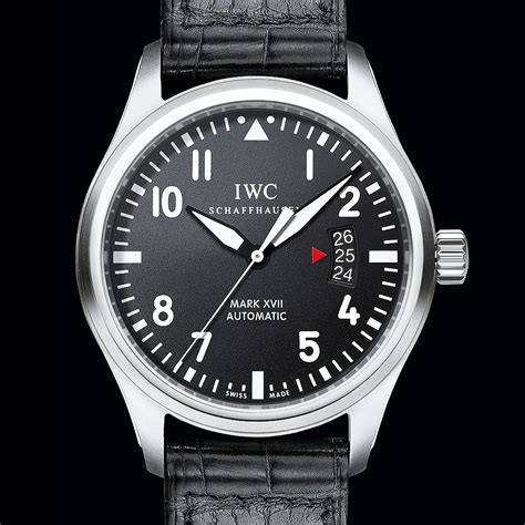 iwc watch service time.